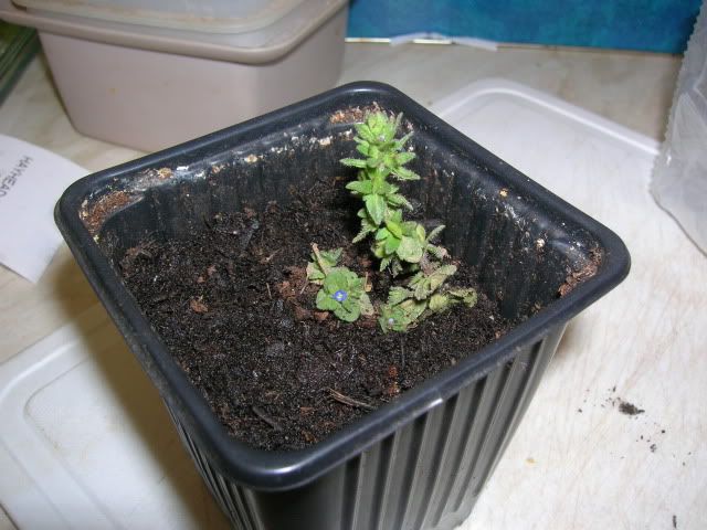 DSCN1258.jpg