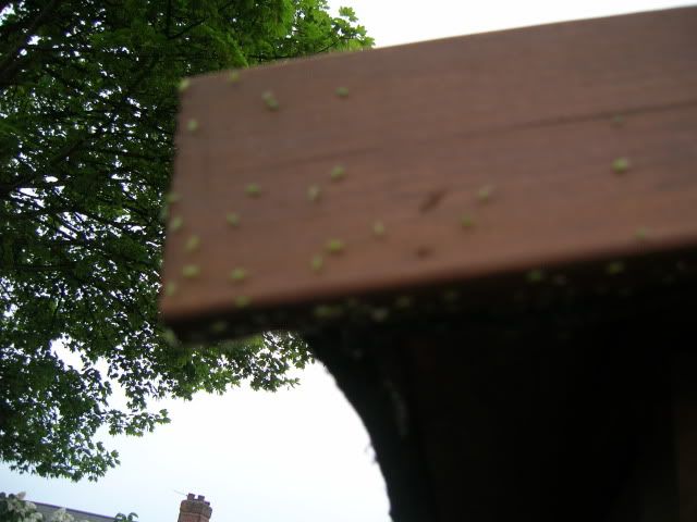 DSCN1274.jpg