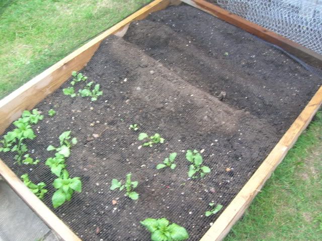 DSCN1287.jpg