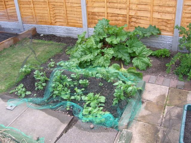 DSCN1288.jpg