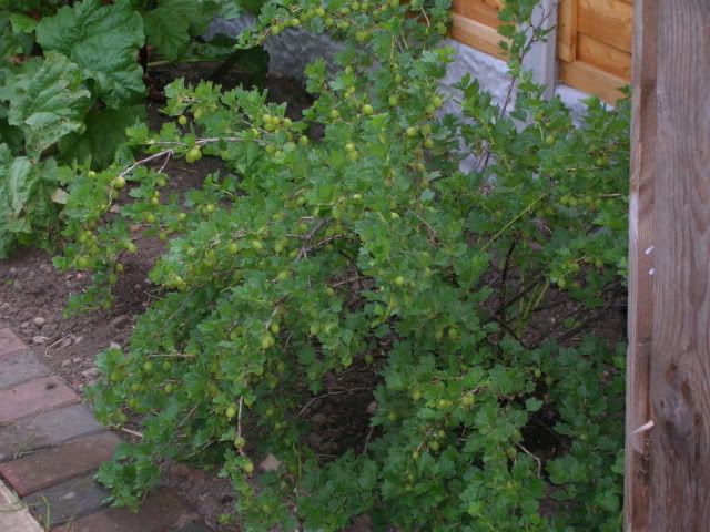 DSCN1292.jpg
