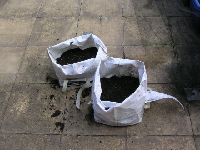 DSCN1293.jpg