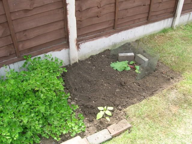 DSCN1309.jpg