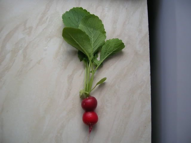 DSCN1314.jpg