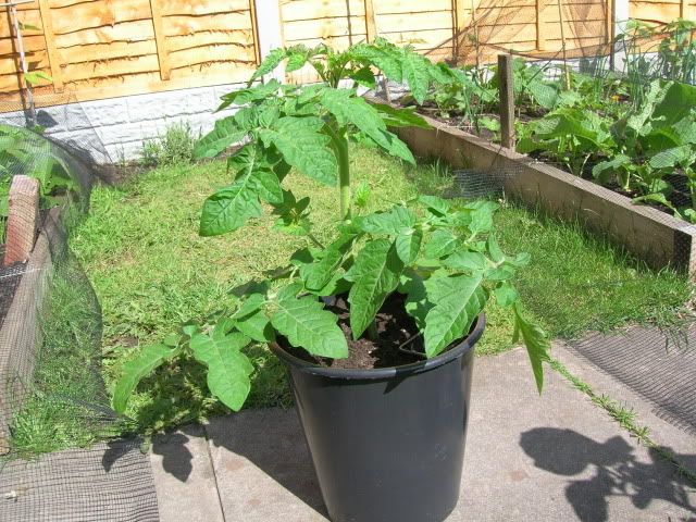 DSCN1325.jpg