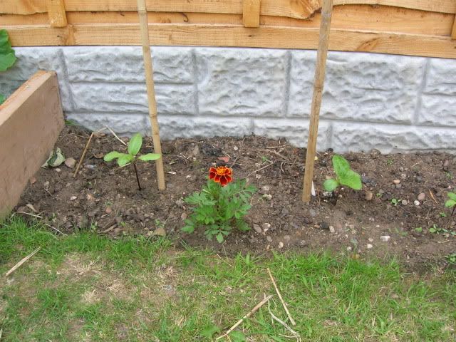 DSCN1330.jpg