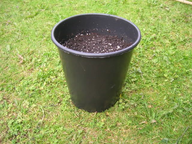 DSCN1356.jpg