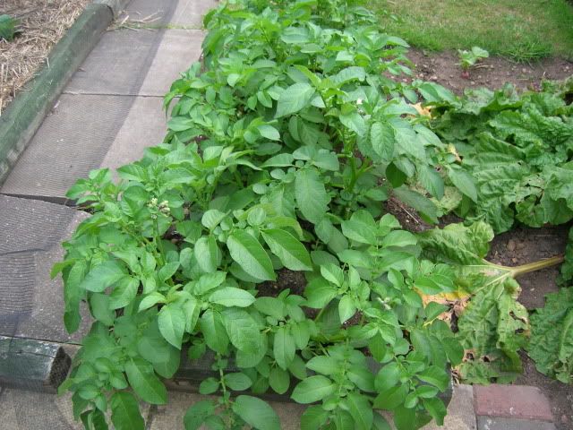 DSCN1358.jpg