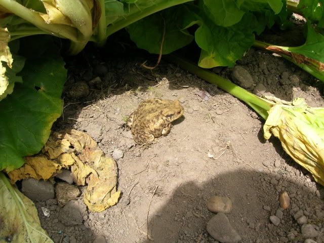 DSCN1371.jpg