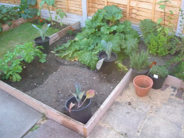 DSCN1379.jpg