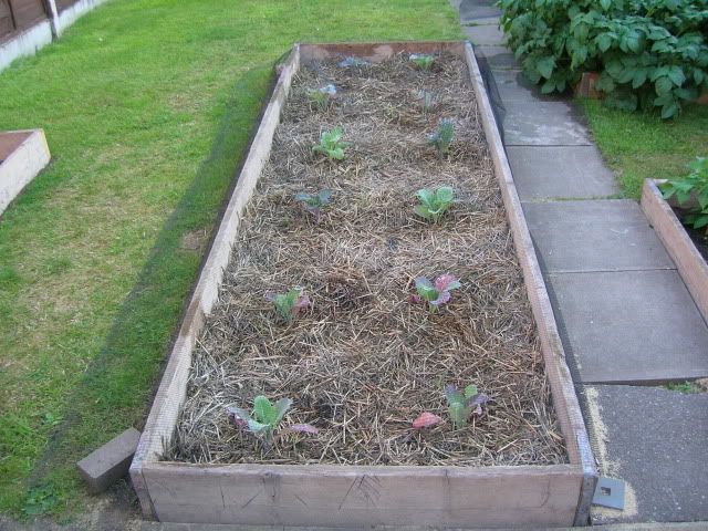DSCN1380.jpg