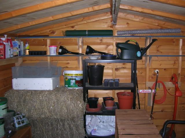 DSCN1384.jpg