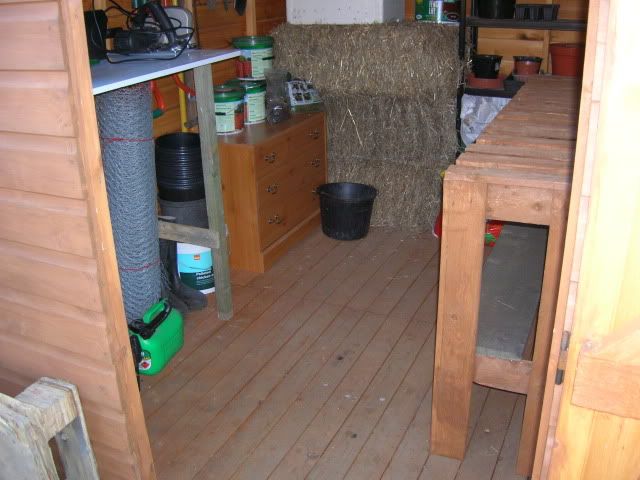 DSCN1385.jpg