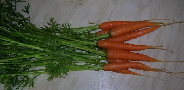 DSCN1398.jpg