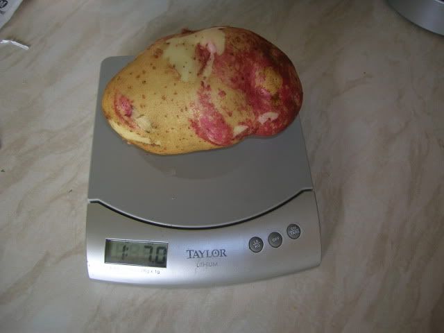 DSCN1437.jpg