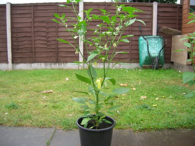 DSCN1463.jpg