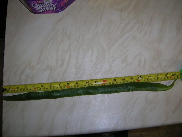 DSCN1469.jpg