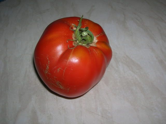 DSCN1479.jpg