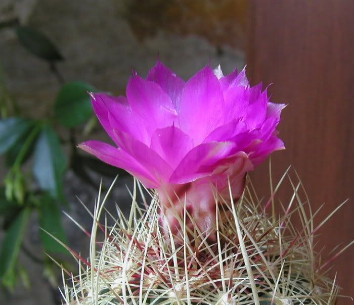 PB050031.jpg