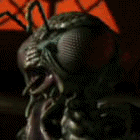 Xindi.gif