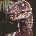 Velociraptor-1.jpg