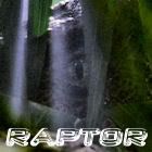 raptor.jpg