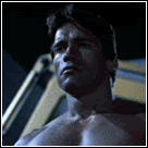 t4.gif
