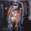bones.gif