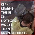 gorn.jpg
