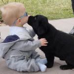 BabyPuppy.jpg