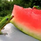 summertime-1.jpg