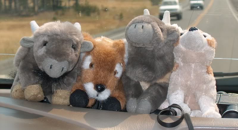 Photobucket - Video and Image Hosting