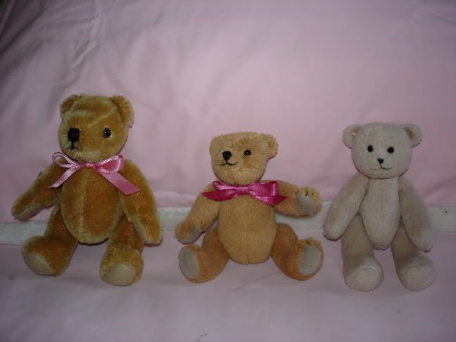 AG3bears