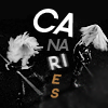 photo CANARIES1.png