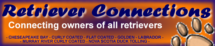 Retriever Connections