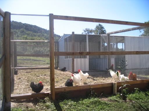 Build Turkey Houses