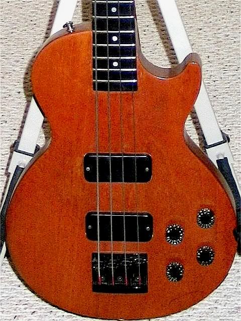 Gibson Les Paul 5 String
