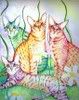 Picture of beths4catz Picture of beths4catz