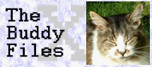 Good old Mr. Bud. Yep, I like that cat.
