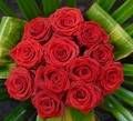 roses.jpg