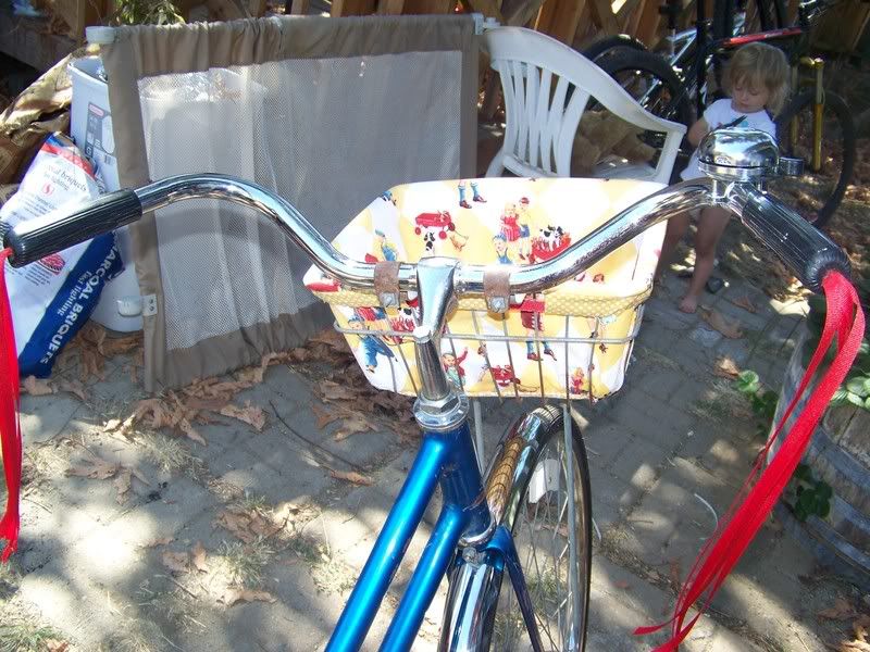 "new" ride Schwinn Breeze Pictures, Images and Photos