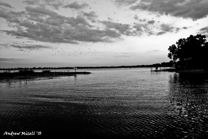 Lake Conway offshore Dedicated To The Smallest Of Skiffs
