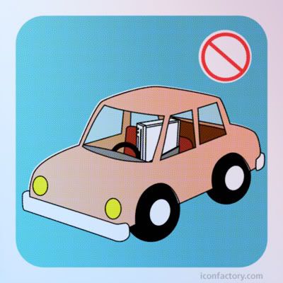 Oh my God, bear is driving car, right Kevin Smith?
