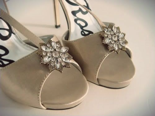 shoeclips01