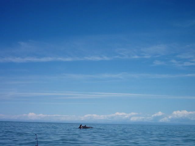 kayaks037.jpg