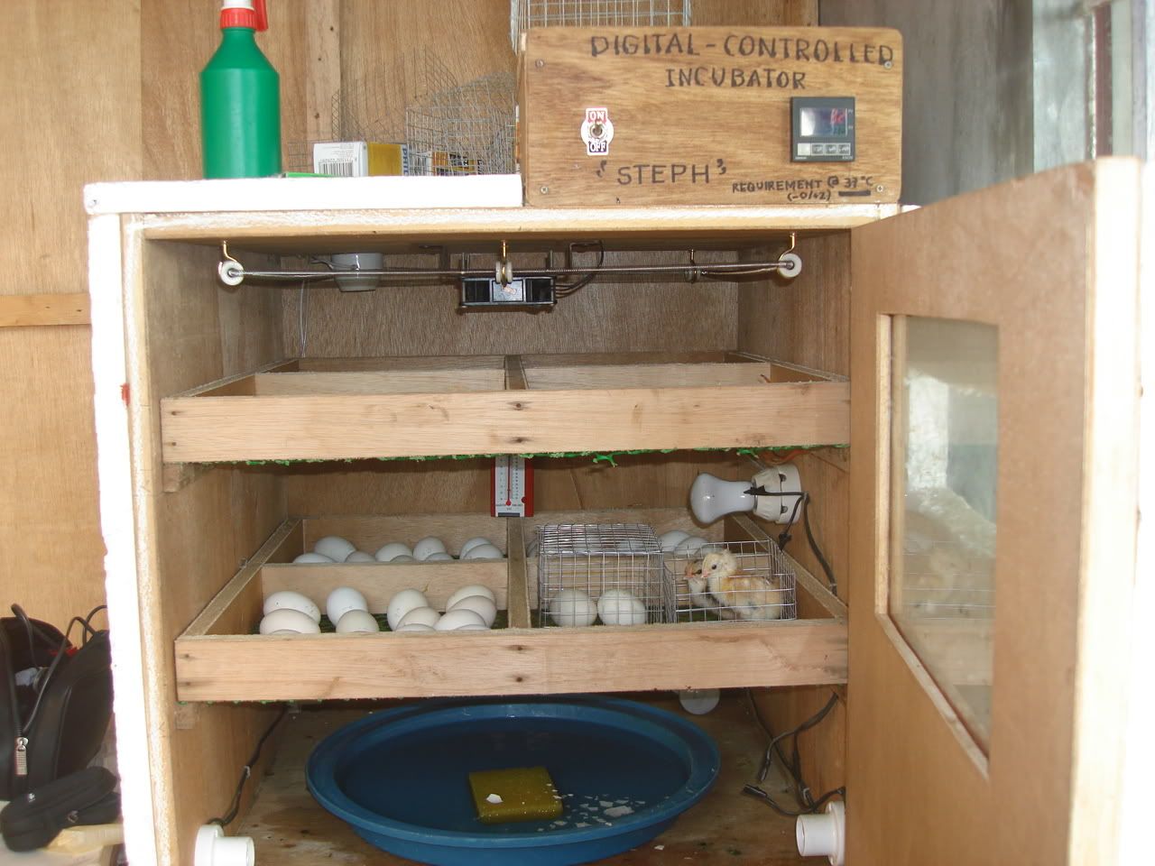  incubator to hatch chicks. . The Brinsea Mini Eco incubator is