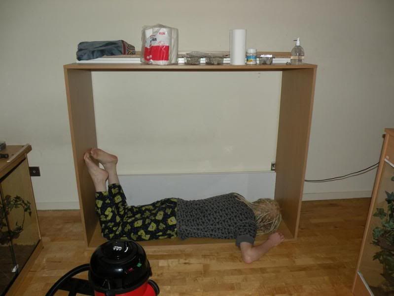 FINALLY finished Water Dragon Viv Build Reptile Forums