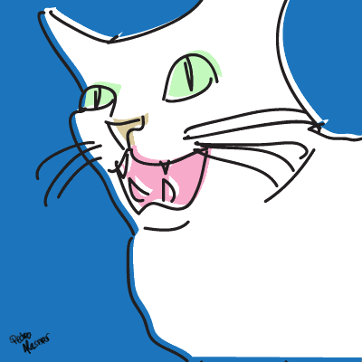 Gato/CAT Pictures, Images and Photos