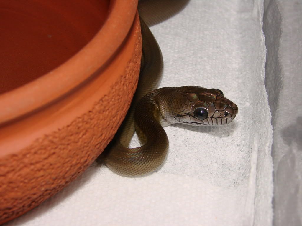 DSC00769.jpg