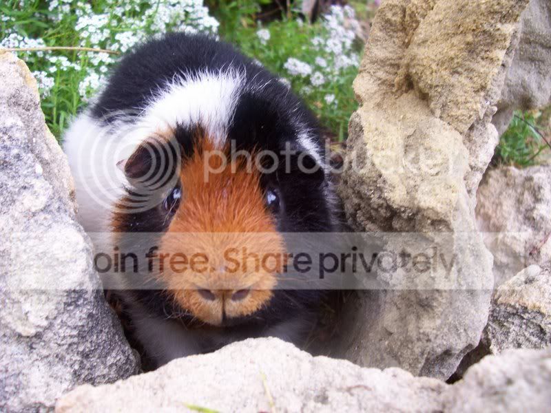 babywilson9.jpg